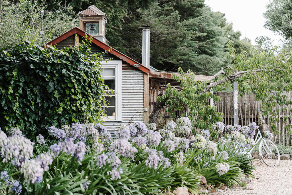 The Miner's Cottage at Acre of Roses