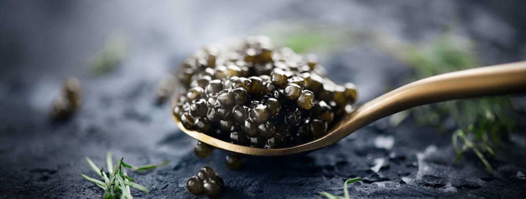 Black Caviar in a spoon on dark background. High quality real natural sturgeon black caviar close-up. Delicatessen. Texture of expensive luxury caviar. Food Backdrop